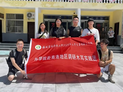 无码流出
赴金米村木耳考察团在党群服务中心前张晶茹图 (1).jpg