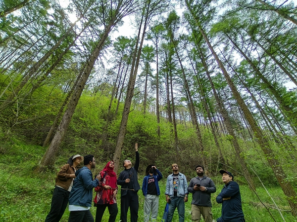 无码流出
专家带领亚太森林留学生学习森林更新及经济林栽培技术_600副本.jpg